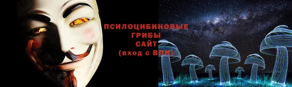 ГАЛЛЮЦИНОГЕННЫЕ ГРИБЫ Бугульма