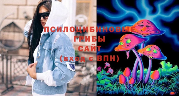 гашик Беломорск