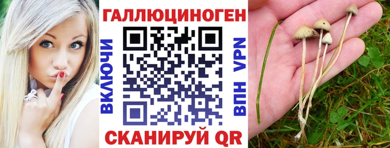 Галлюциногенные грибы MAGIC MUSHROOMS  закладка  Бронницы 